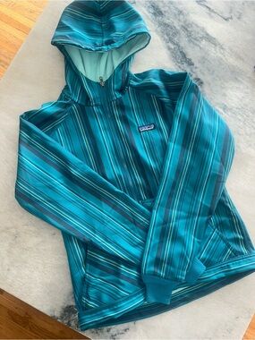Patagonia Teal Striped Hooded Zip Jacket